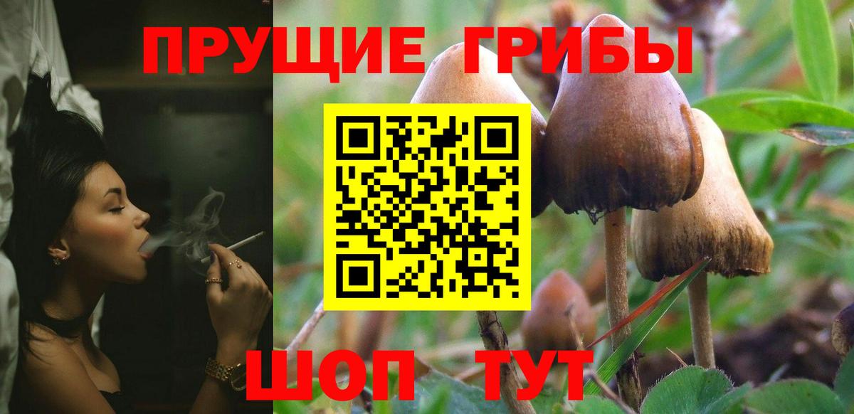 купить  цена  Псилоцибиновые грибы Psilocybe  Вход с VPN  Магнитогорск  Галлюциногенные грибы прущие грибы 